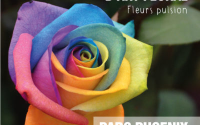 Le 2ème concours international d’art floral