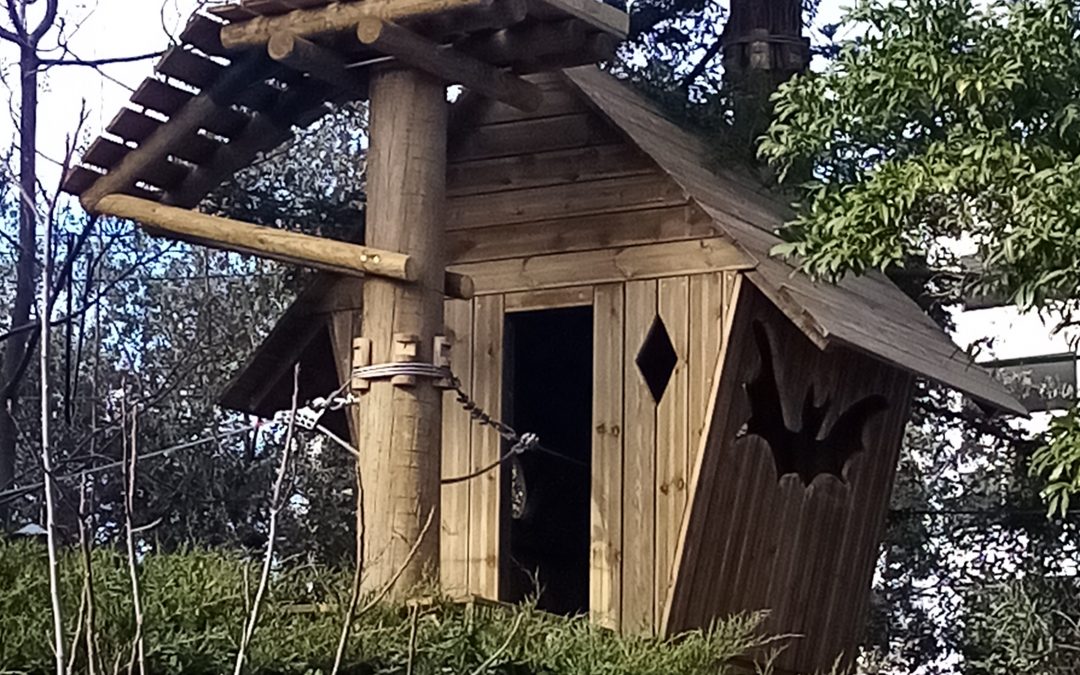 Ouverture de l&rsquo;accrobranche au Parc Phoenix !