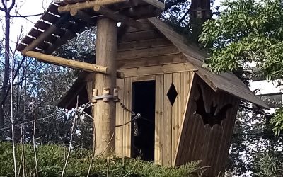 Ouverture de l’accrobranche au Parc Phoenix !