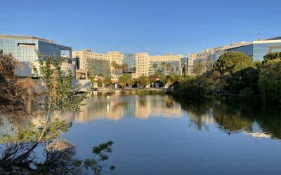 Renouvellement du label jardin remarquable